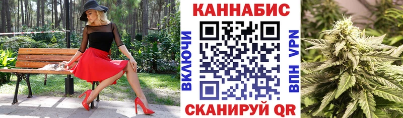 Бошки Шишки план  Купить  Куровское 